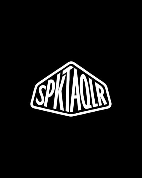 SPKTAQLR